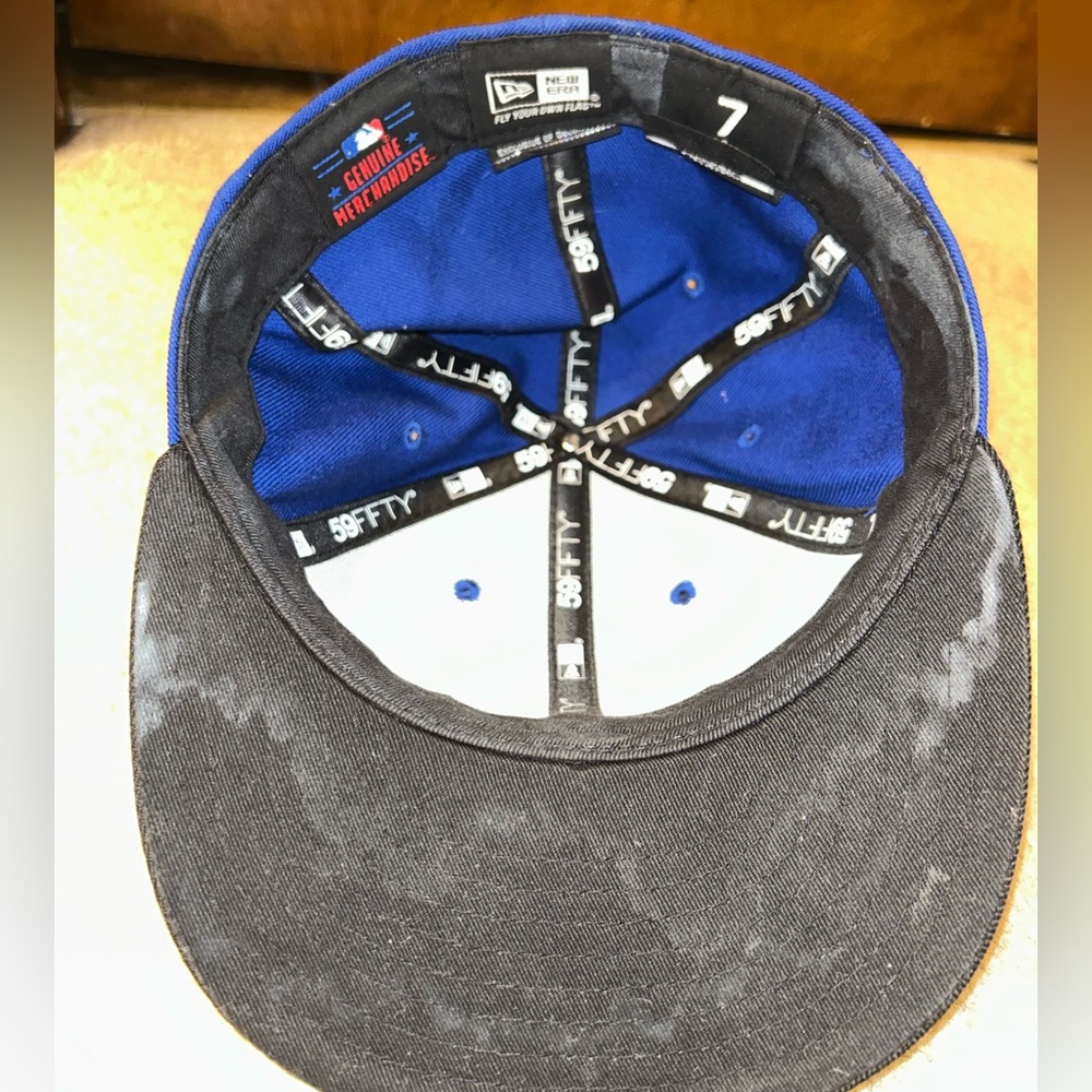 Blue jays - Picture 2 of 3